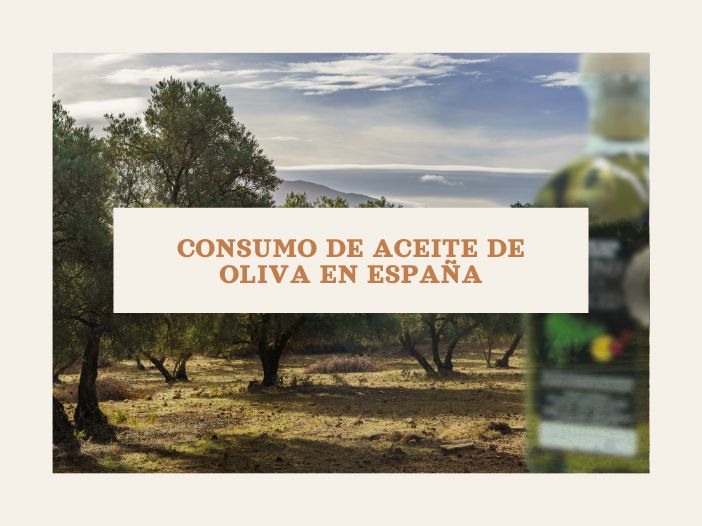 Imagen destacada de CONSUMO DE ACEITE DE OLIVA EN ESPAÑA