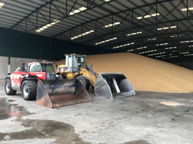 Manipulación de cereales en nave de almacenamiento