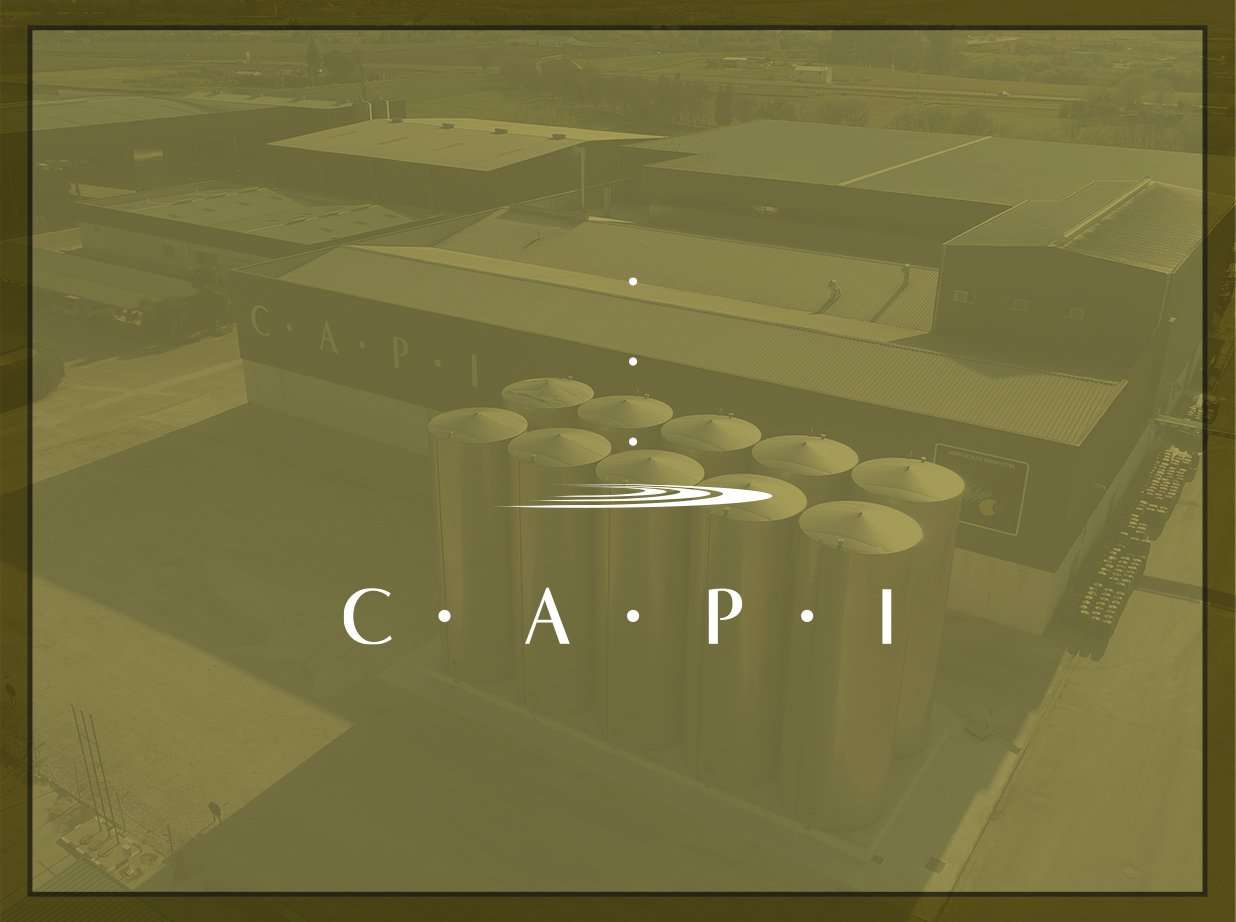 Oficinas CAPI — atención a socios