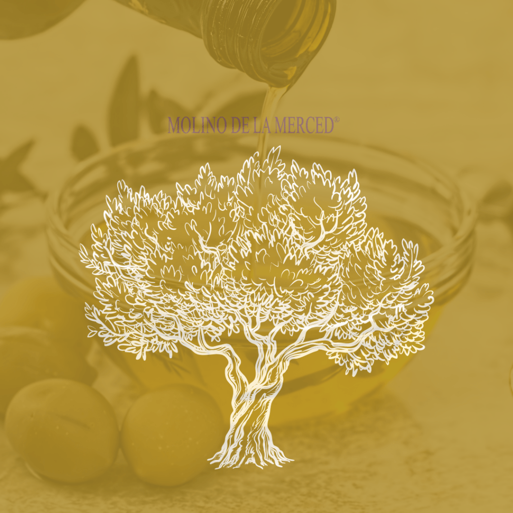Propiedades nutricionales y beneficios para la salud del aceite de oliva y su papel en la dieta mediterránea.